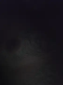 rinkurx webcam