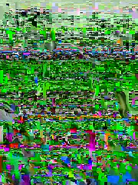 victor9333 webcam