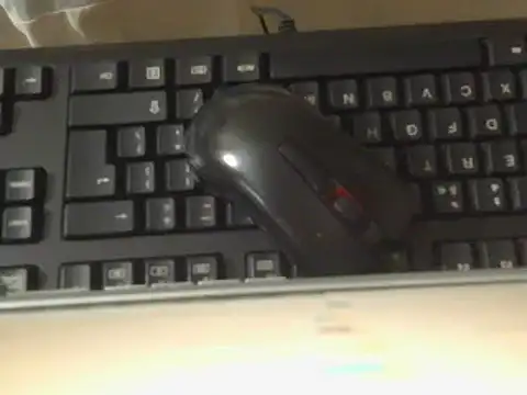 Thickitaxx webcam