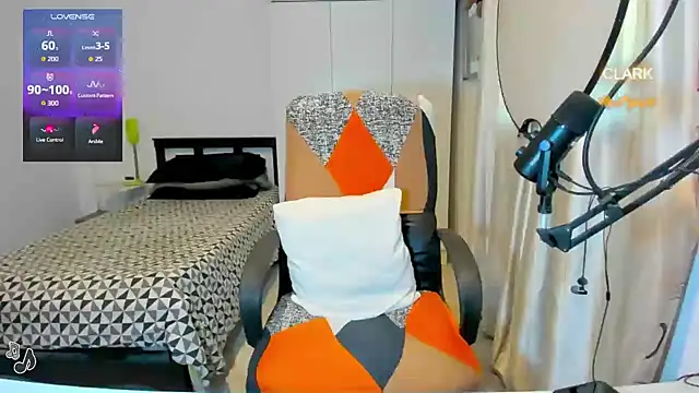 clarkdangerous webcam
