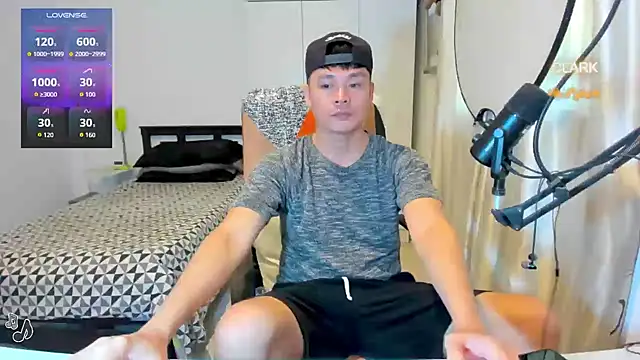 clarkdangerous webcam