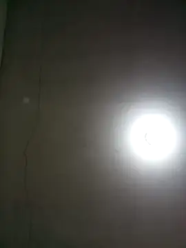 wbrankinha webcam