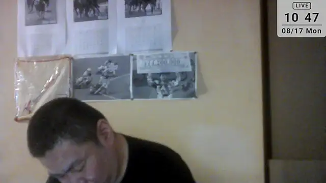 naodanuki webcam