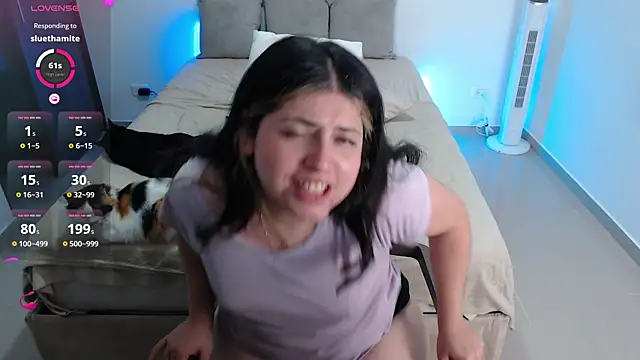 sofix__ webcam
