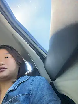 wagoudan webcam