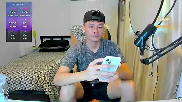 clarkdangerous webcam