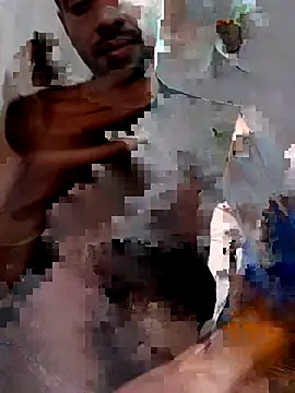 AllegedWhitefly webcam