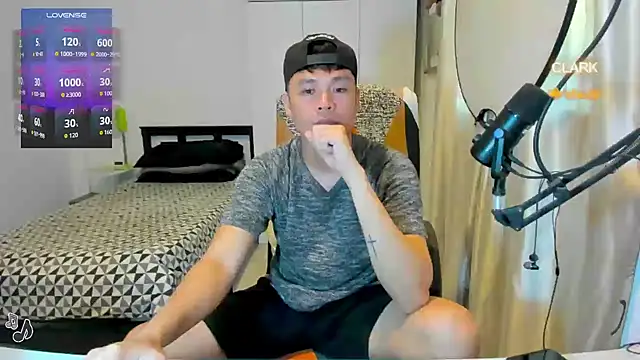 clarkdangerous webcam