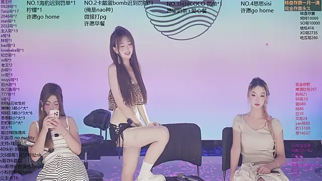 Sw-001 webcam