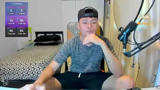 clarkdangerous webcam