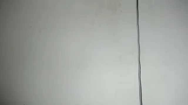 Fox_Loves
