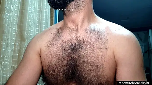 robsonbr webcam
