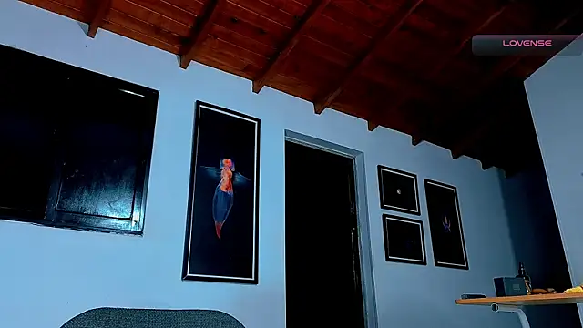 SilvaBranko webcam