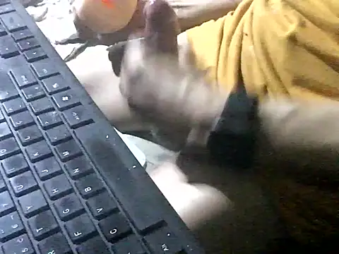interiorba webcam