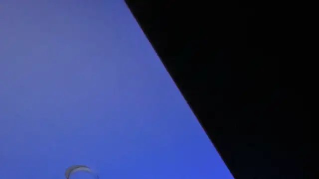 tellmemaddie webcam