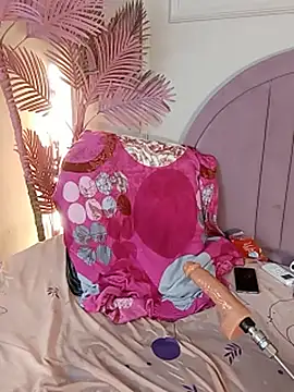 Nalapalmer webcam