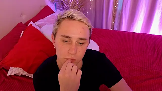 e1v1s webcam