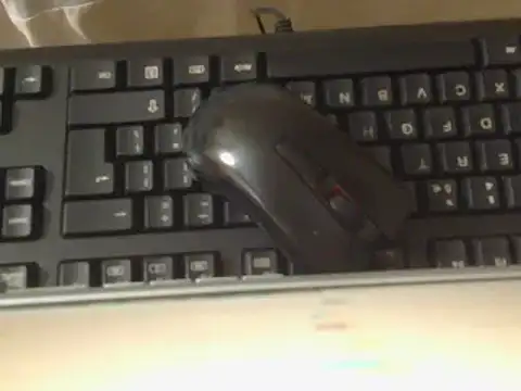 Thickitaxx webcam