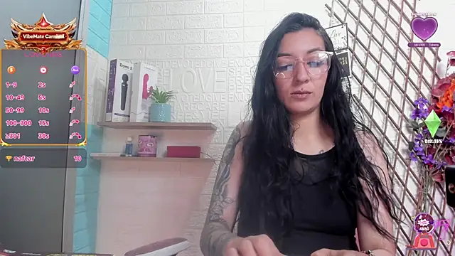 SALOME_KORLAND webcam