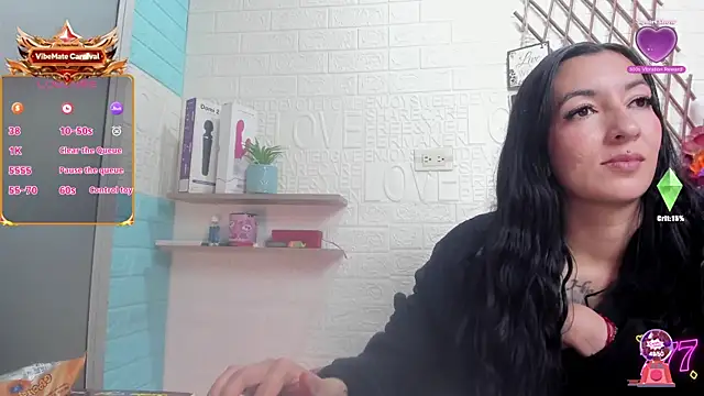 SALOME_KORLAND webcam