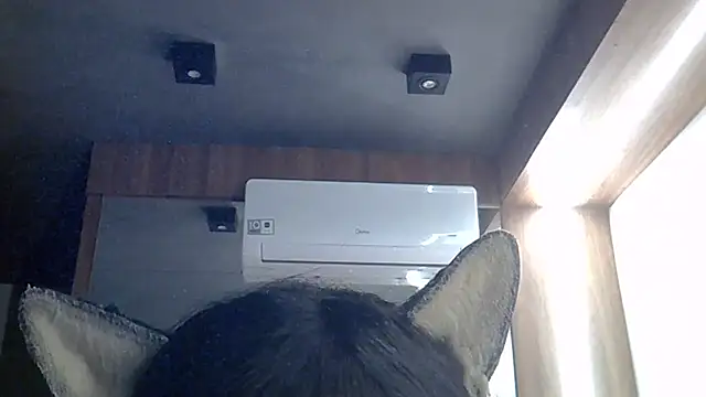 SkinnyKitten webcam