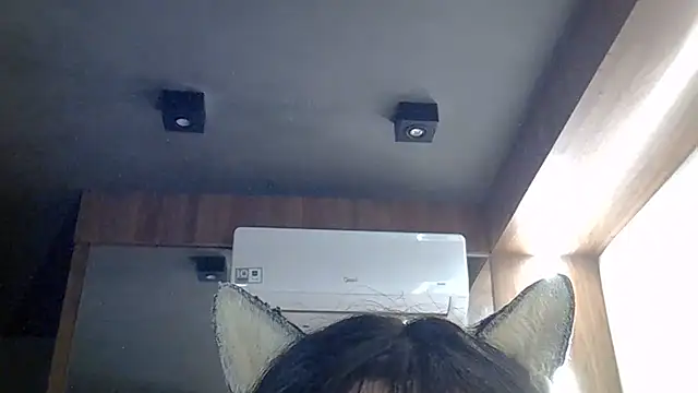 SkinnyKitten webcam