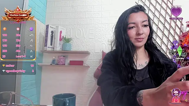 SALOME_KORLAND webcam