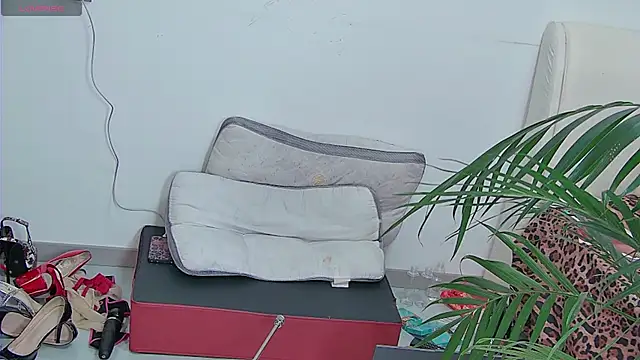 Solsken_ webcam