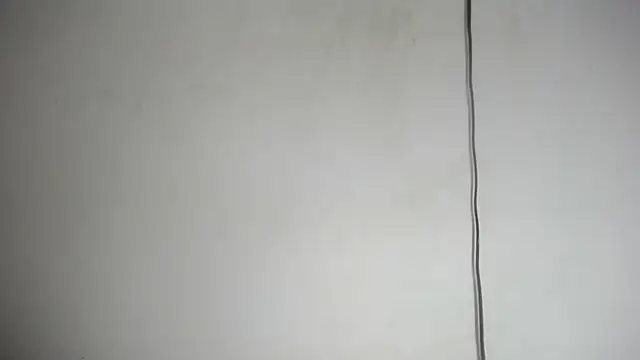 Fox_Loves