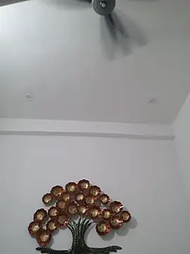 hottydisha webcam