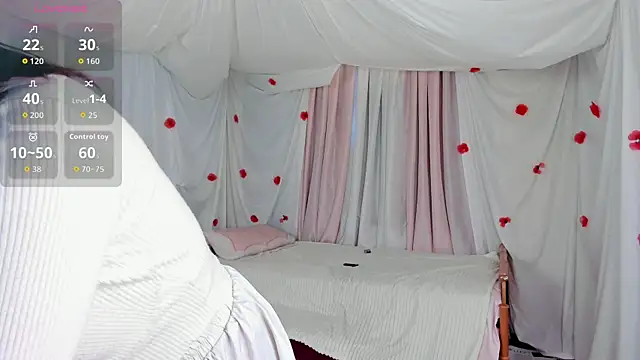 Crazykitta webcam