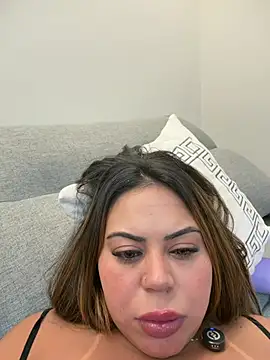 lariic webcam