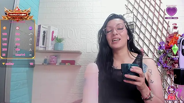 SALOME_KORLAND webcam