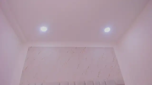 DakkotaFox webcam