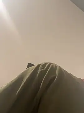 Enjoyedmine webcam