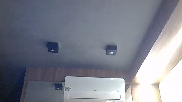 SkinnyKitten webcam