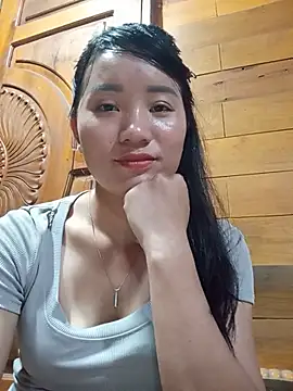 Td3di webcam