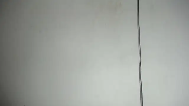 Fox_Loves webcam