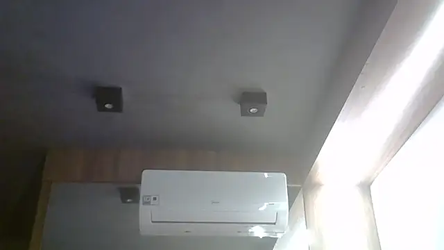 SkinnyKitten webcam