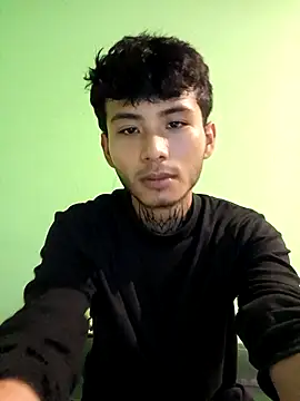 355kl webcam