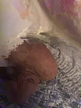 katilikat webcam
