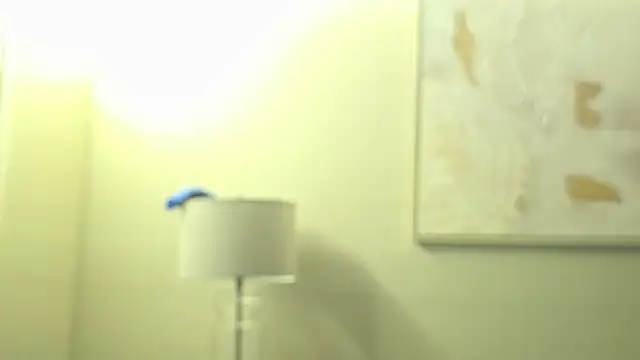 Mrkarizma webcam