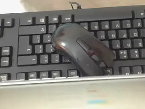 Thickitaxx webcam
