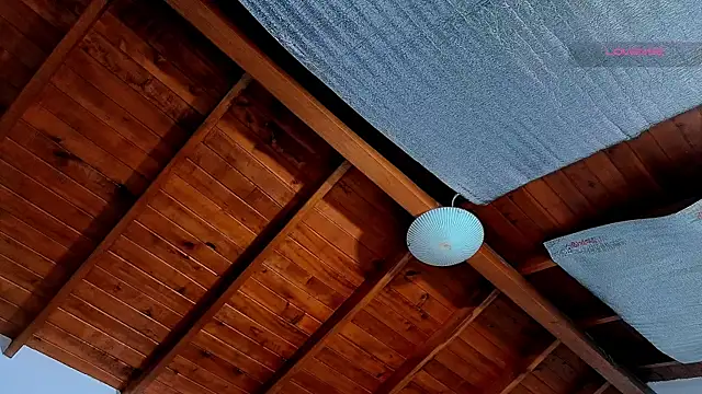 SilvaBranko's live cam