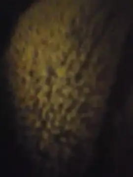 WreckedCrop webcam