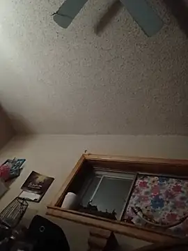 ConsciousDew589 webcam