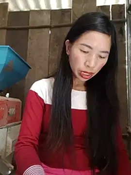 Tho-bibi webcam