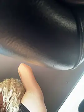 MerlinDave webcam