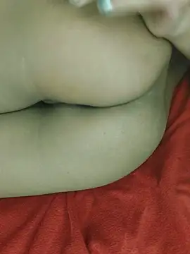 rojsor webcam