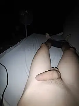 MildStem webcam
